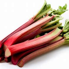 Rhubarbe